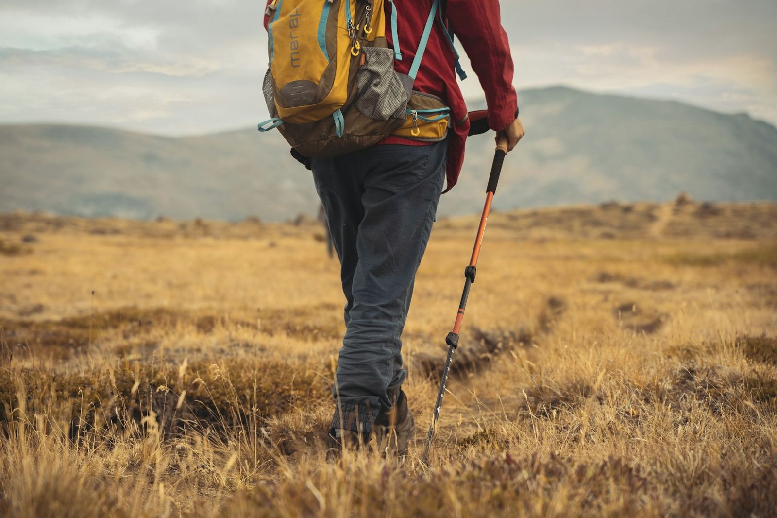 Hiker with poles crossing golden grassland
