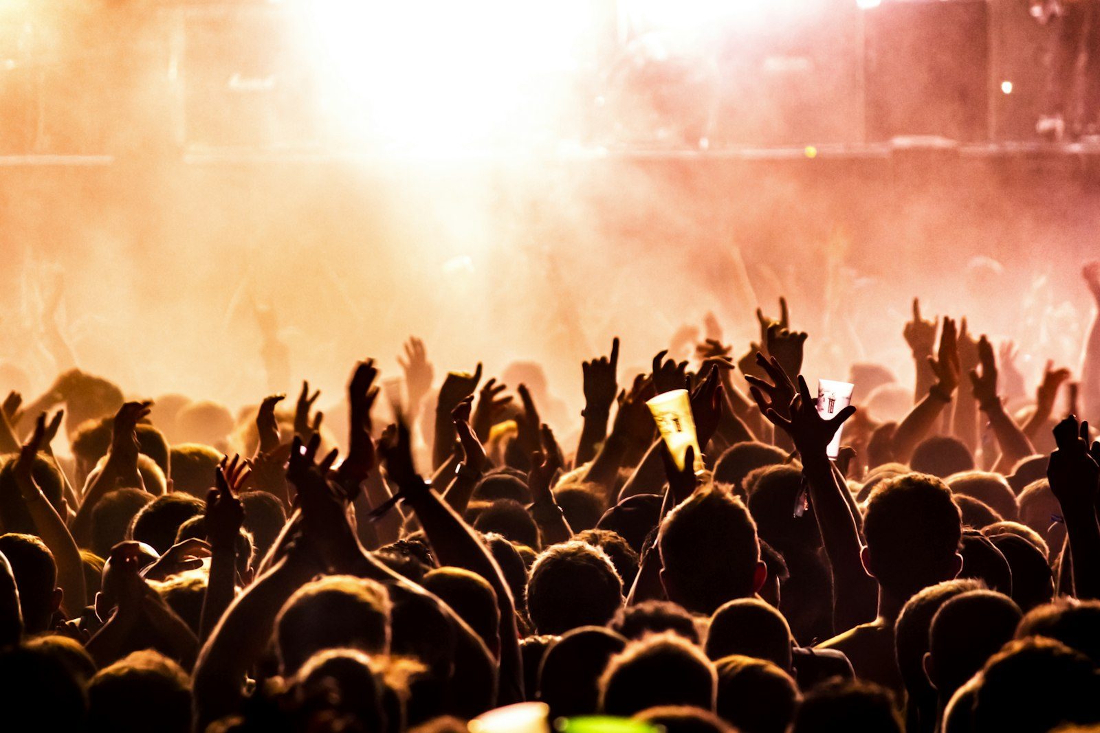 A crowd at a small venue