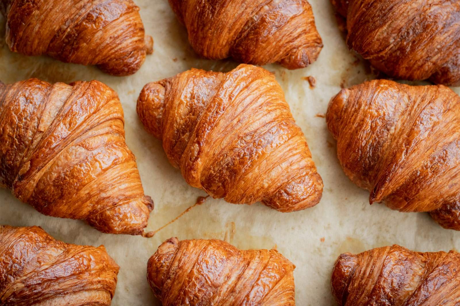 Croissants fresh from the oven
