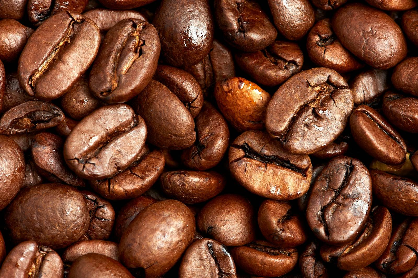 Freshly roasted coffee beans