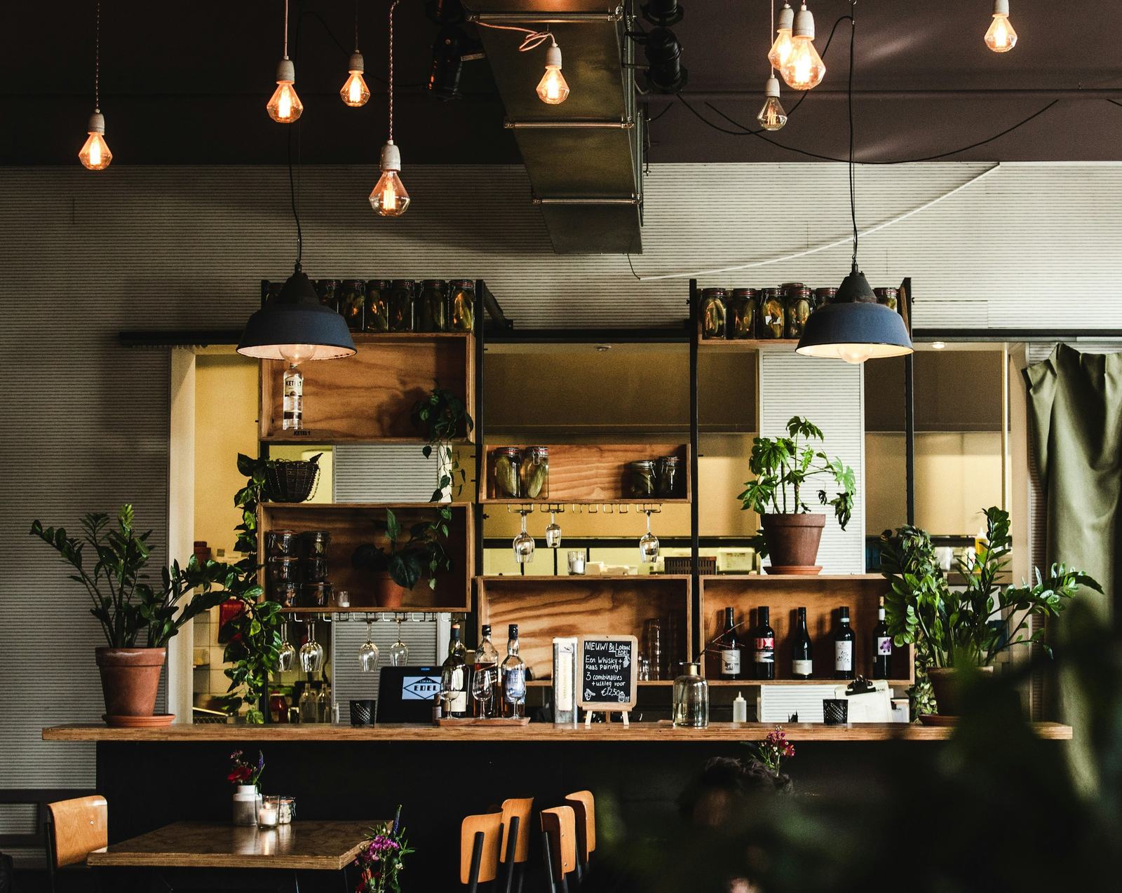 Warm roastery cafe counter with hanging lights and plants