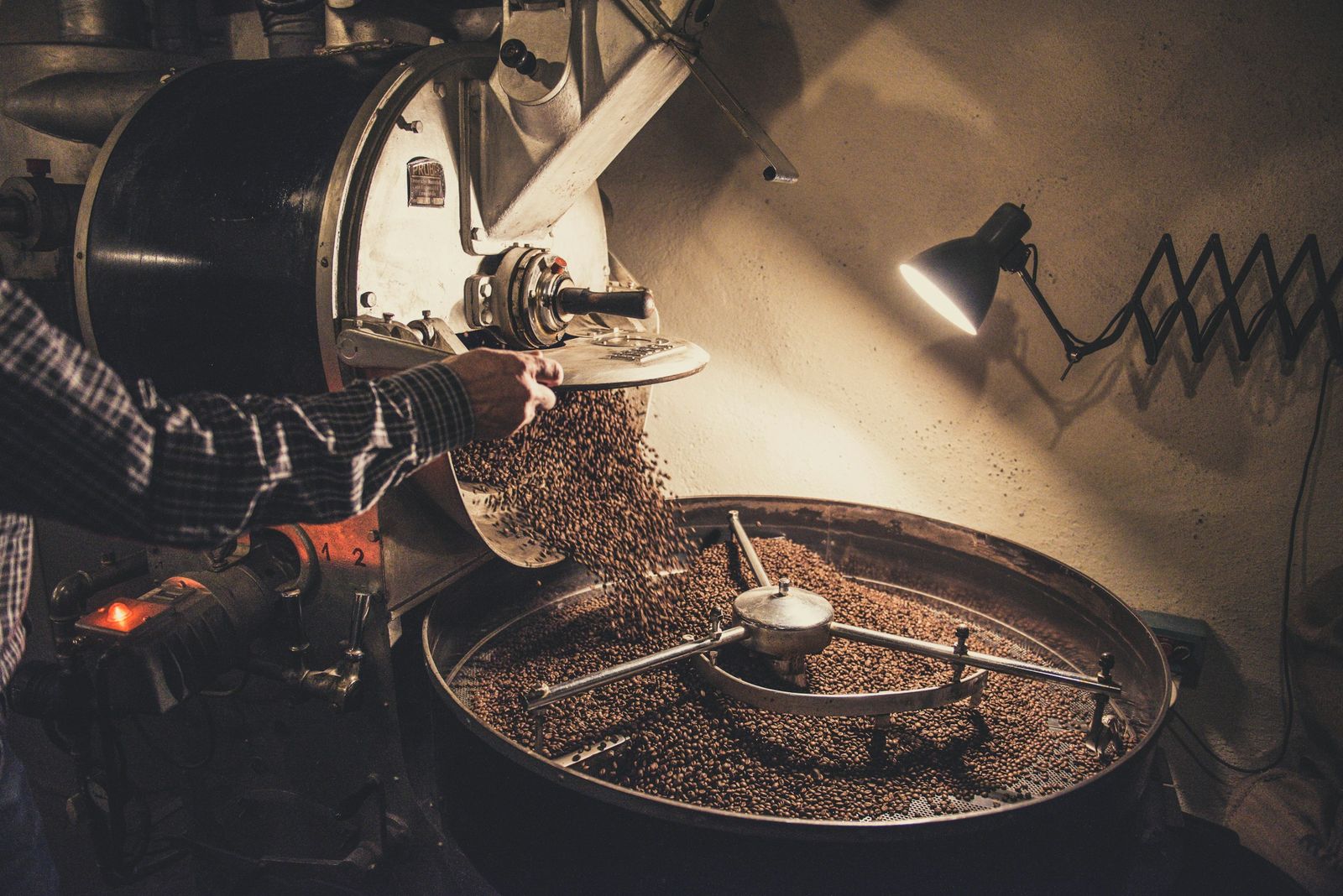 Freshly roasted coffee pouring into a roaster cooling tray