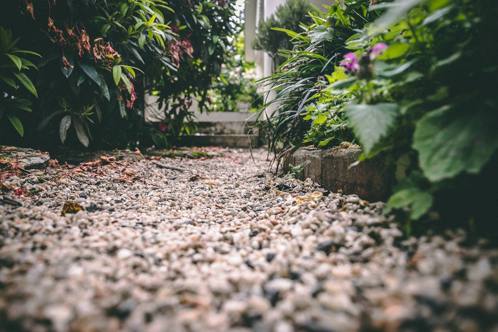 Paths & stone