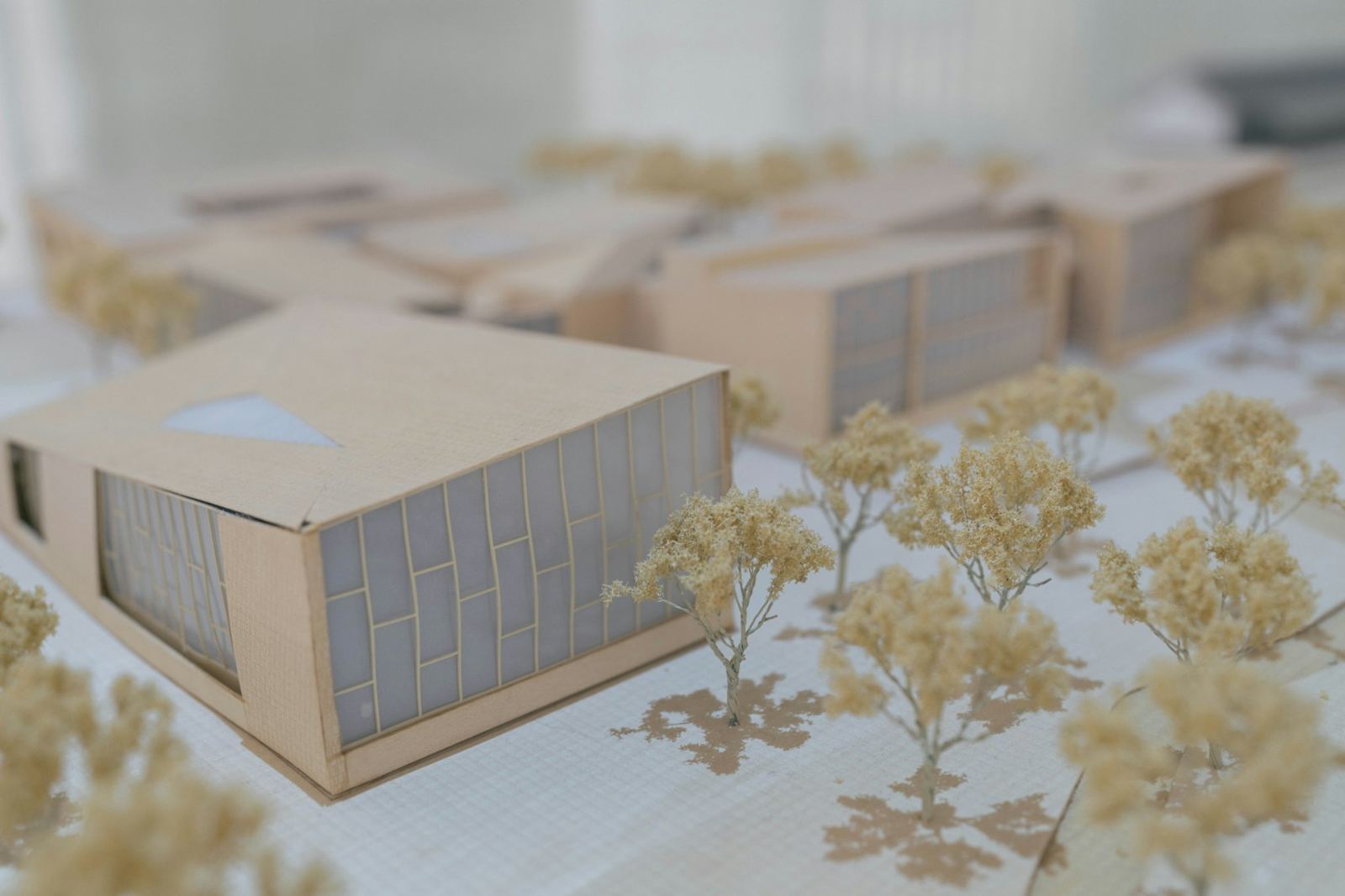 Scale model of a home addition with miniature trees