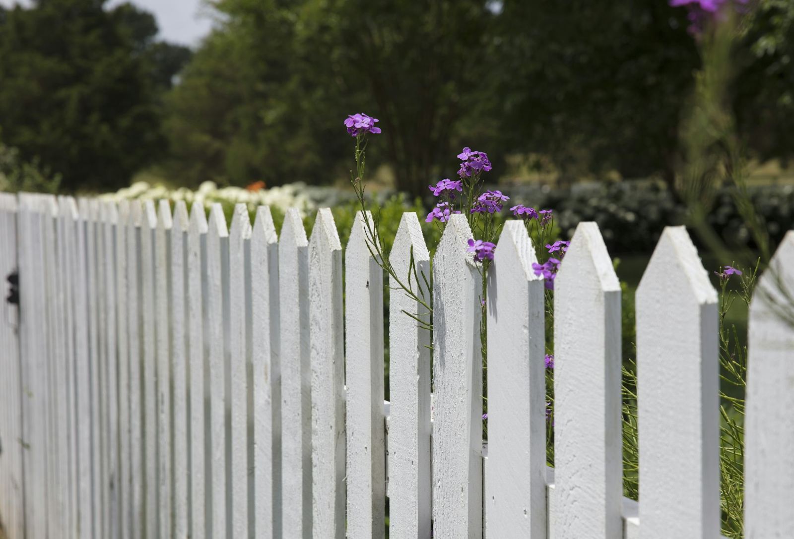 Classic picket fence