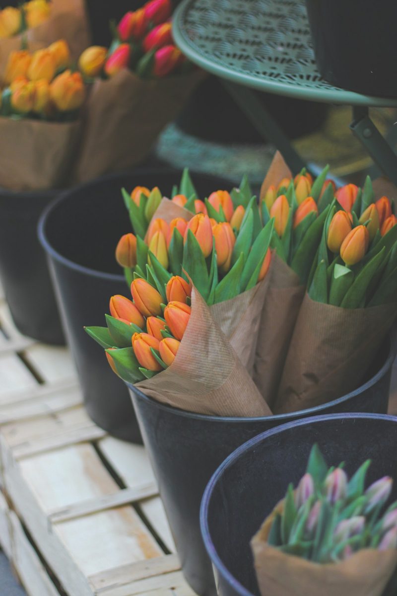 Baskets of orange tulips displayed for sale