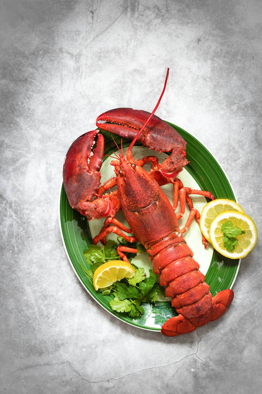Lobster