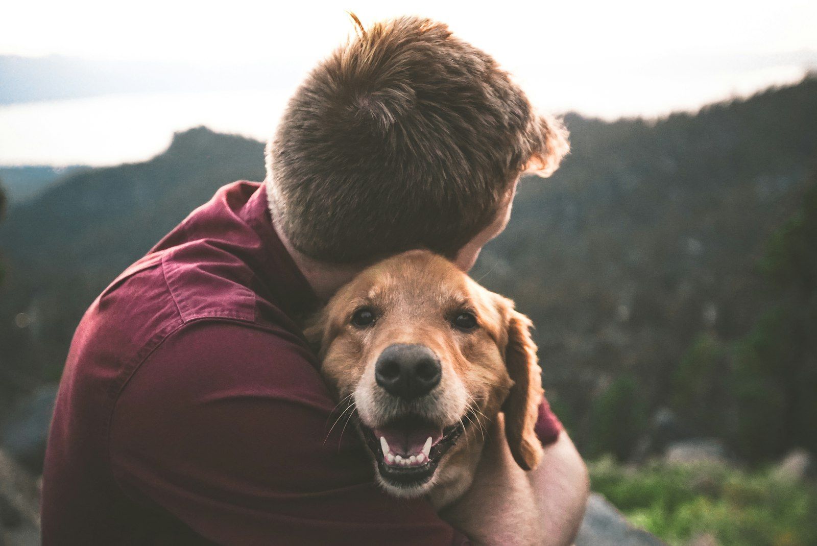 Man hugging a golden dog