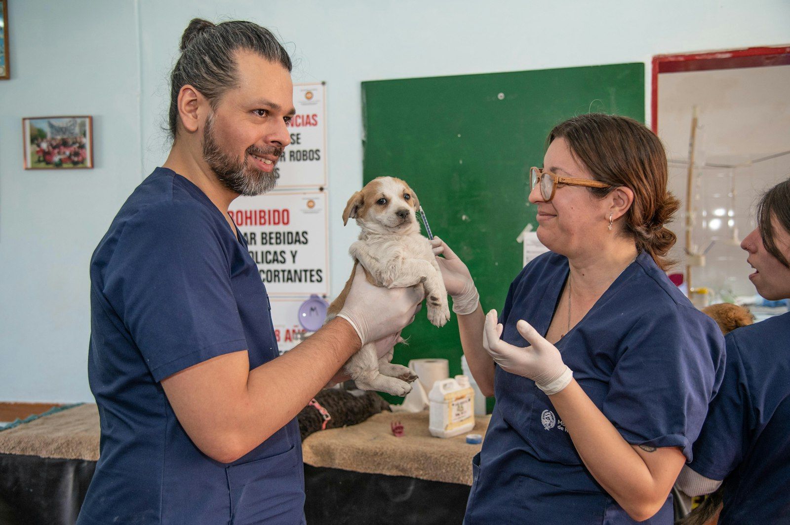 Veterinary team holding a small dog in the clinic