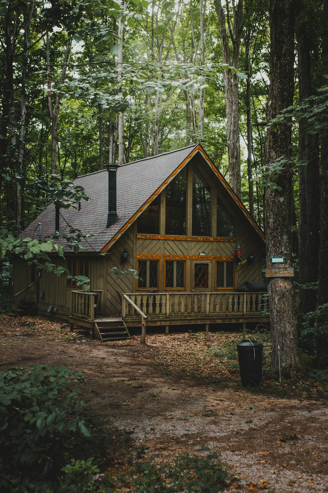Forest Cabin